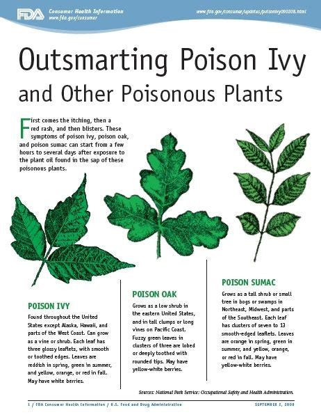 poison ivy pron|poison ivy Search